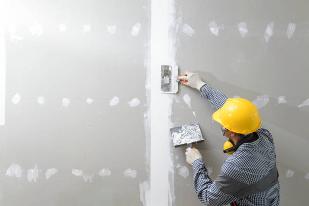 Best Mold Prevention Services  in Ko Olina, HI