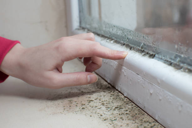 Best HVAC Mold Inspection and Cleaning  in Ko Olina, HI