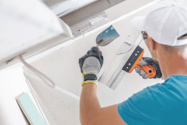Biohazard Mold Removal in Ko Olina, HI